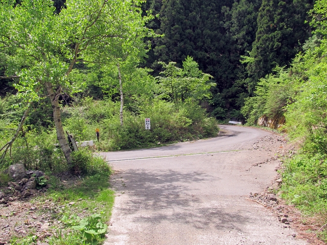 t10_091.jpg