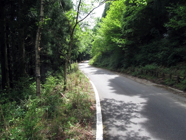 t10_094.jpg