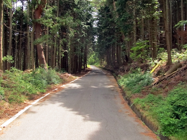 t10_095.jpg