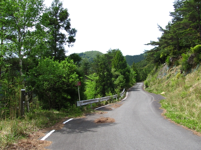 t10_096.jpg