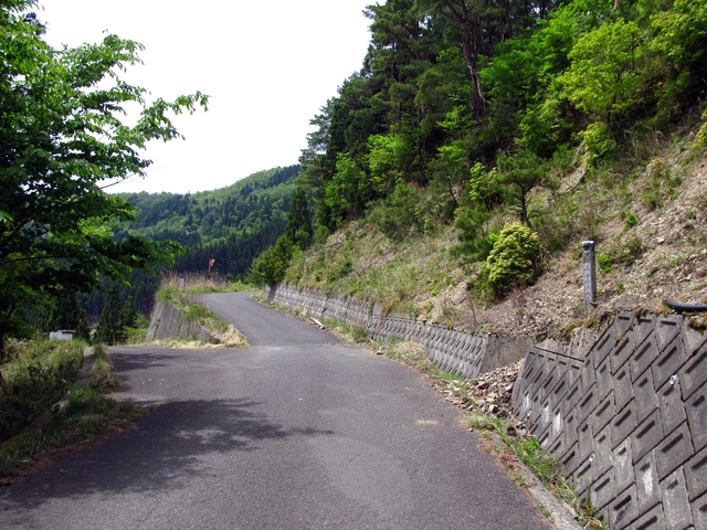 t10_097.jpg