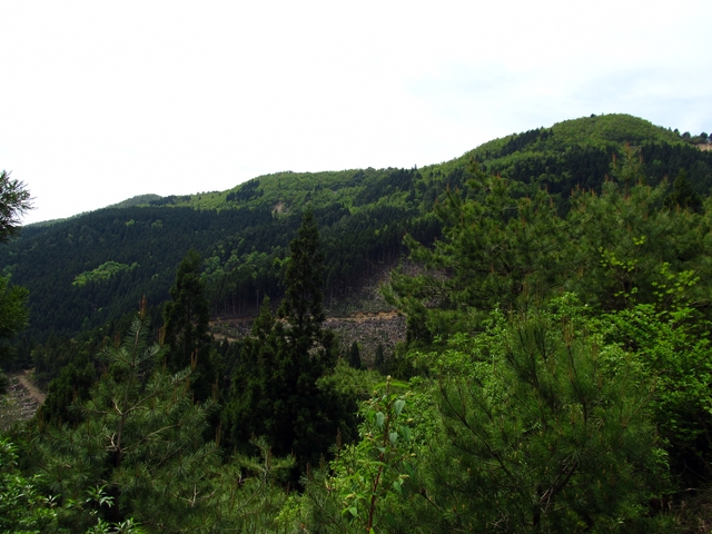 t10_098.jpg