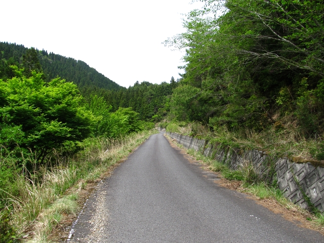 t10_099.jpg
