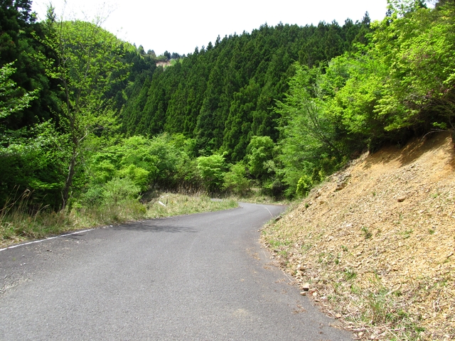 t10_101.jpg