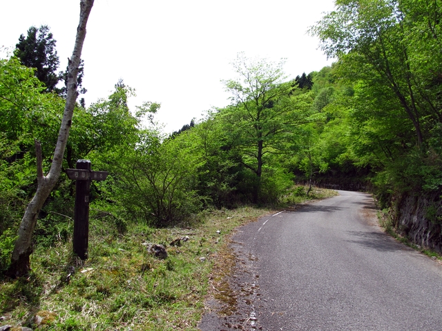 t10_102.jpg