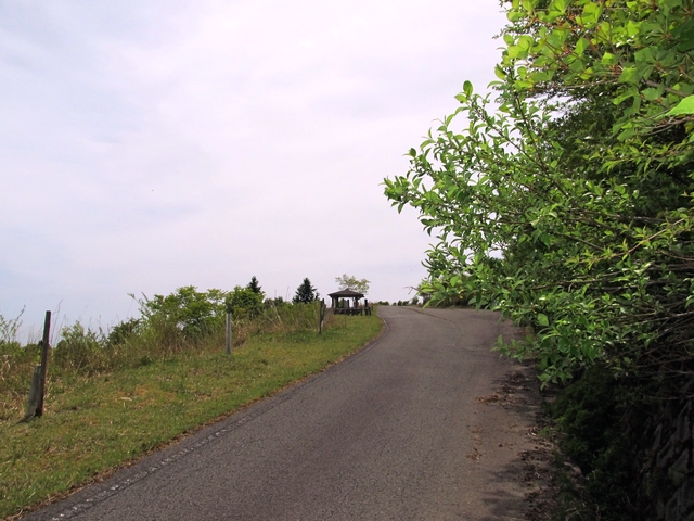 t10_104.jpg