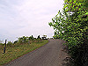 t10_104_thumb.jpg