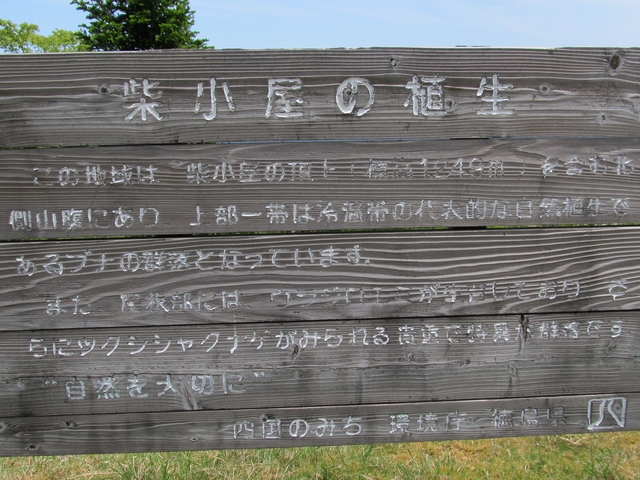 t10_108.jpg