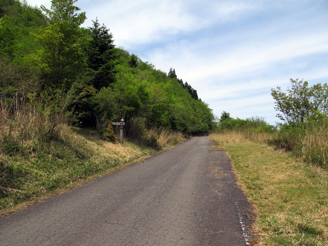 t10_109.jpg
