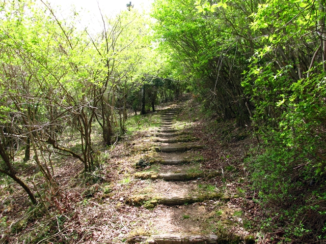 t10_111.jpg