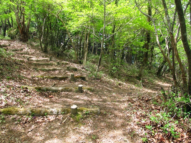 t10_112.jpg