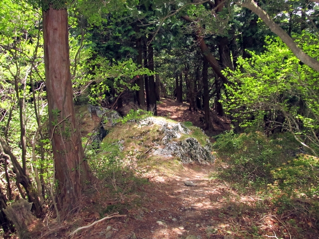t10_115.jpg