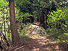 t10_115_thumb.jpg