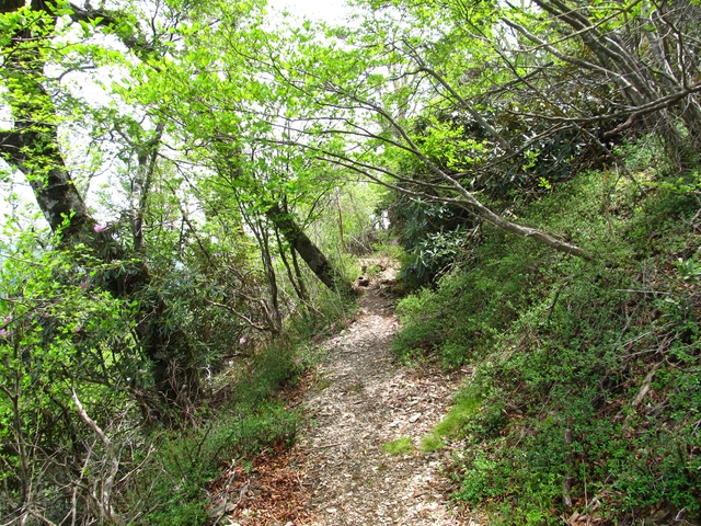 t10_121.jpg