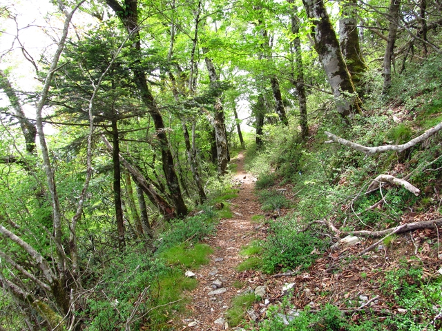 t10_122.jpg