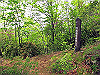 t10_123_thumb.jpg