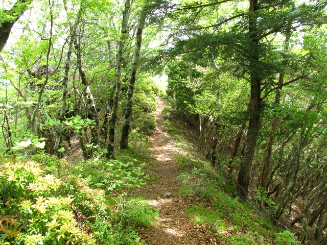 t10_125.jpg