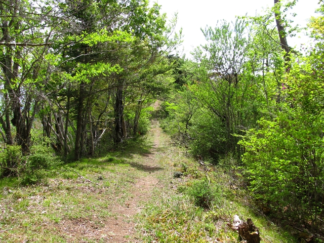 t10_128.jpg