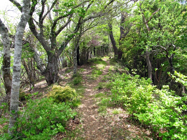 t10_129.jpg