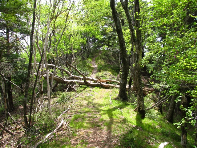 t10_130.jpg