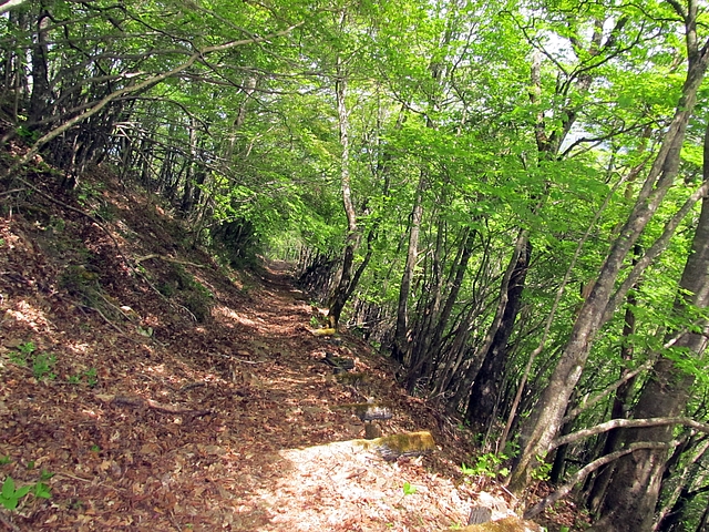 t10_134.jpg
