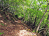 t10_134_thumb.jpg