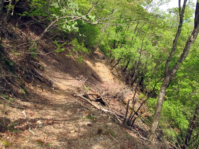 t10_135.jpg