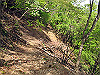 t10_135_thumb.jpg