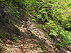t10_136_thumb.jpg