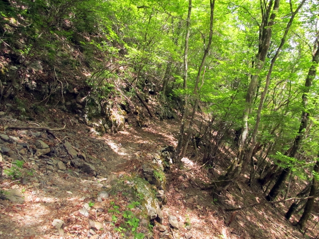 t10_137.jpg
