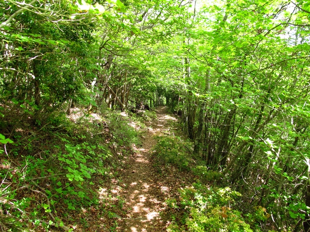 t10_138.jpg