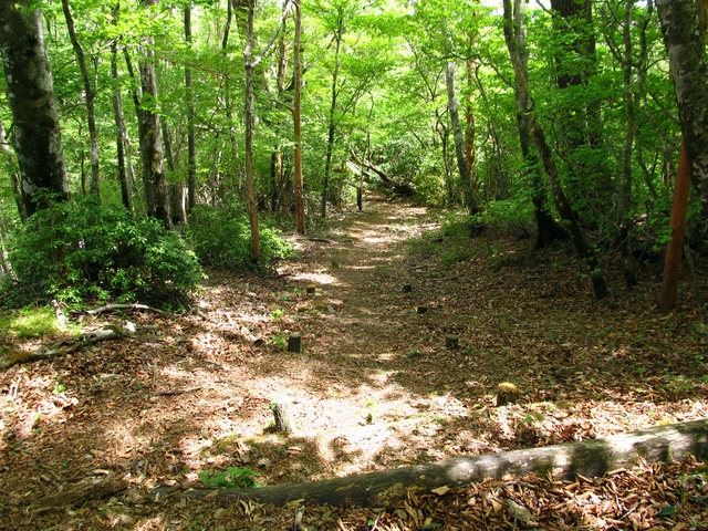 t10_140.jpg