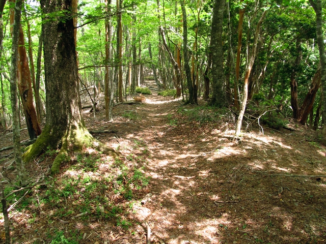 t10_141.jpg