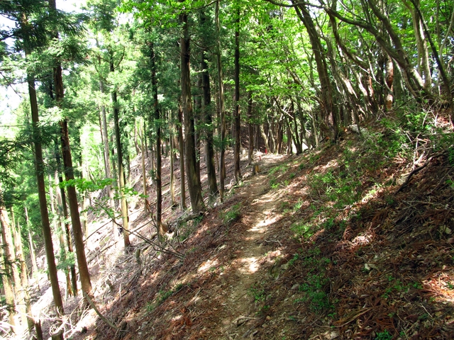 t10_145.jpg