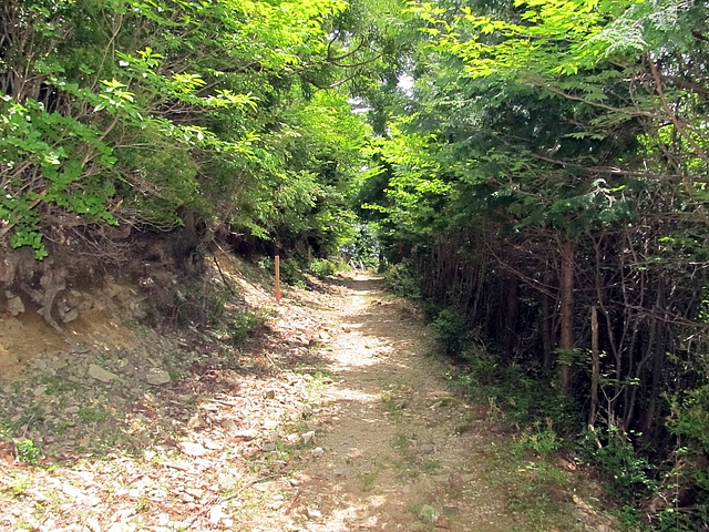 t10_150.jpg
