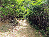 t10_150_thumb.jpg