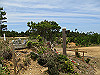 t10_154_thumb.jpg