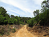 t10_157_thumb.jpg