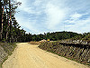 t10_163_thumb.jpg