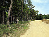 t10_164_thumb.jpg
