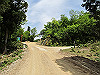 t10_165_thumb.jpg