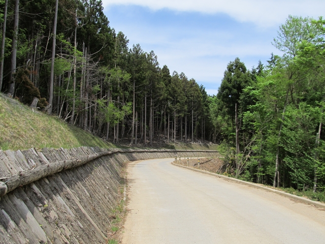 t10_170.jpg