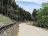 t10_170_thumb.jpg