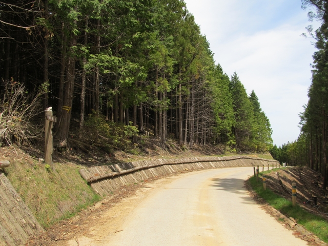 t10_171.jpg