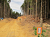 t10_174_thumb.jpg