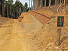 t10_175_thumb.jpg
