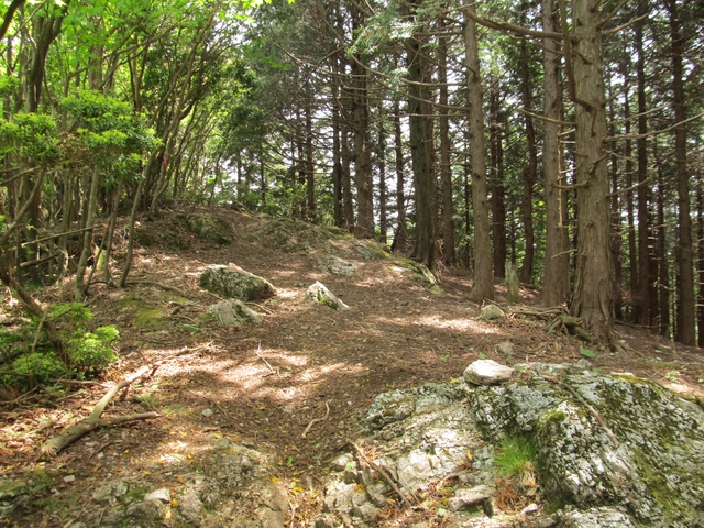 t10_181.jpg