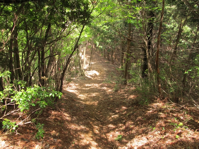 t10_182.jpg