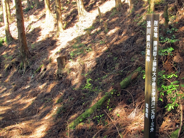 t10_212.jpg