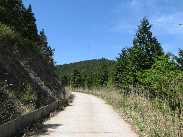t10_221.jpg